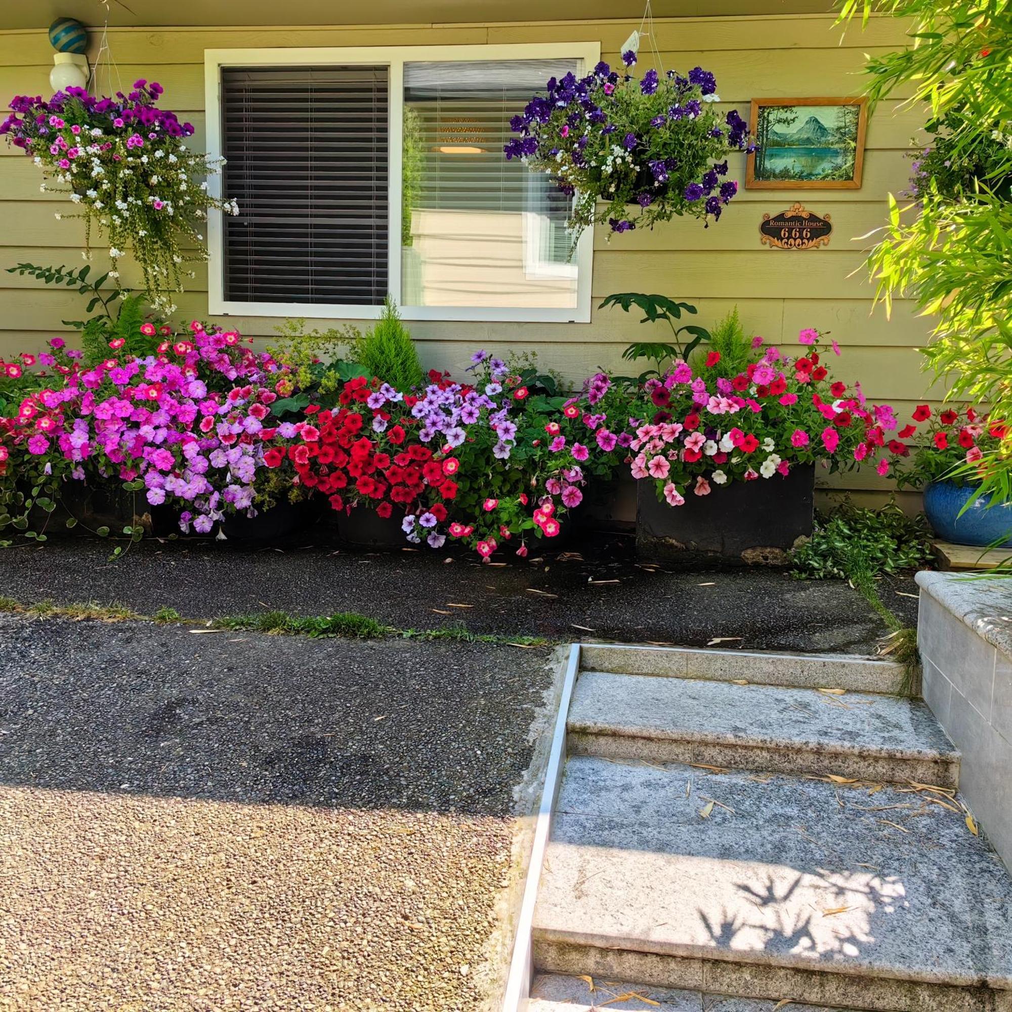 Romantic Homestay Coquitlam Eksteriør bilde